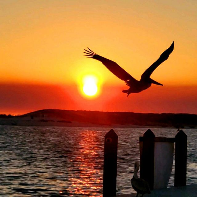 Destin, Fl.