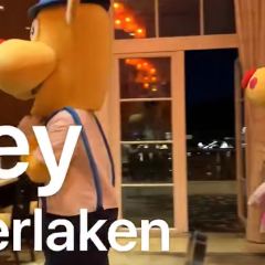 深圳东部华侨城茵特拉根酒店·湖逸轩中餐厅 User Photo