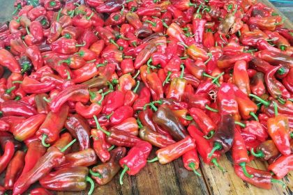 本地鲜土菜馆·土鸡