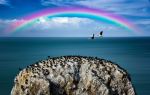 Bird Island of Qinghai Lake