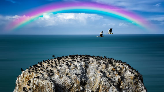 Bird Island of Qinghai Lake