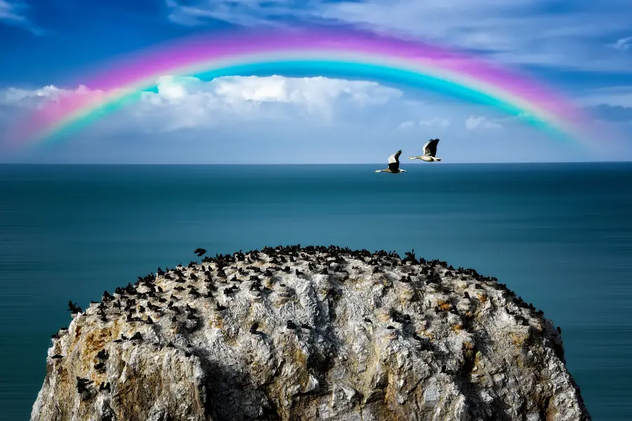 Bird Island of Qinghai Lake