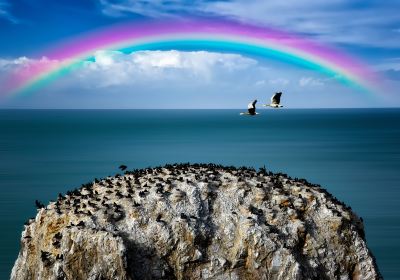 Qinghai Lake Bird Island