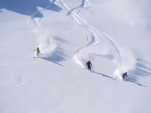 Лошань Пижье Скидный Поле