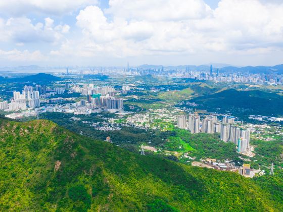 Yangtaishan Forest Park