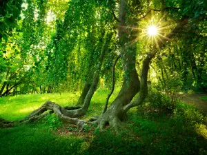 Nationalpark Jasmund