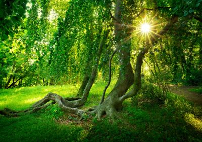 Nationalpark Jasmund