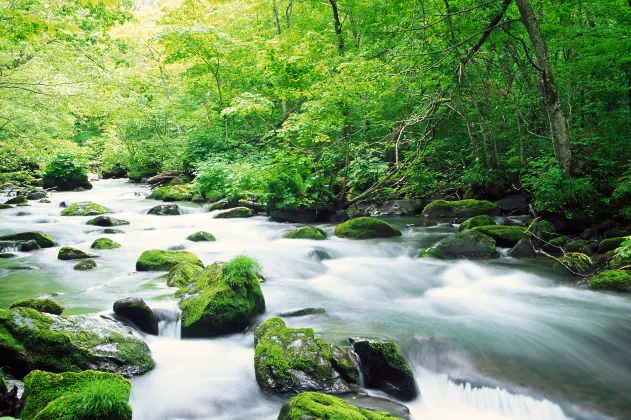 Бутик Отели в г. Чжанцзяцзе