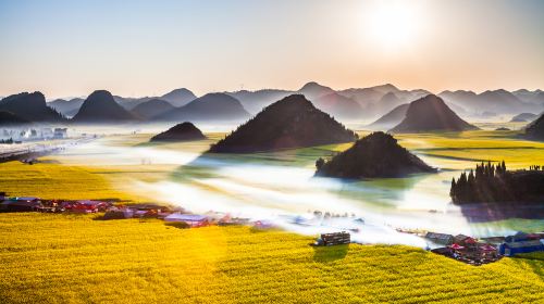 Luoping Canola Flower Ocean