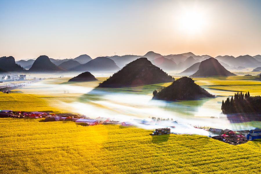 羅平油菜花景區