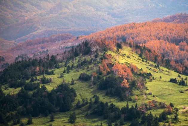 5-звездочные отели в г. Такаяма