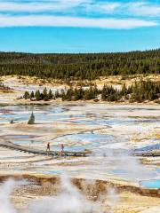 Norris Geyser Basin