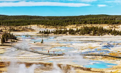 Norris Geyser Basin