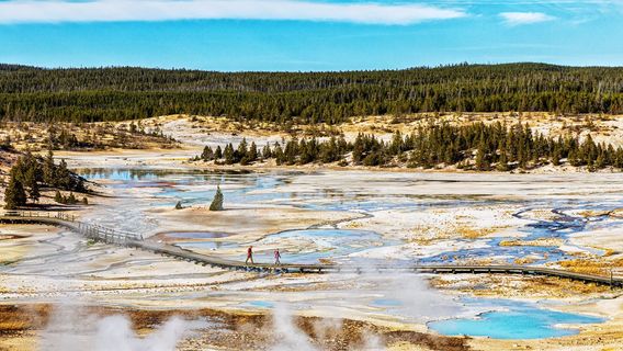 Norris Geyser Basin