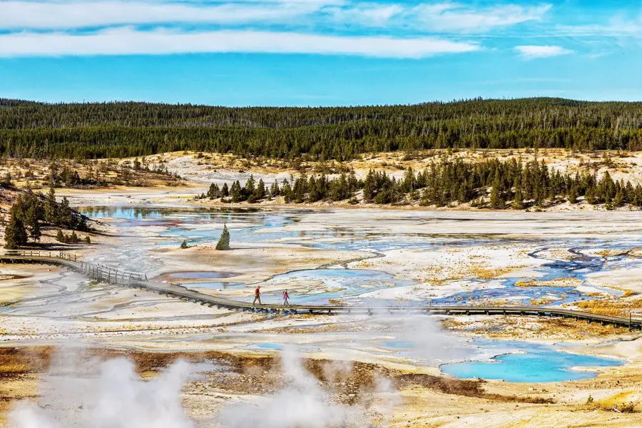 Norris Geyser Basin