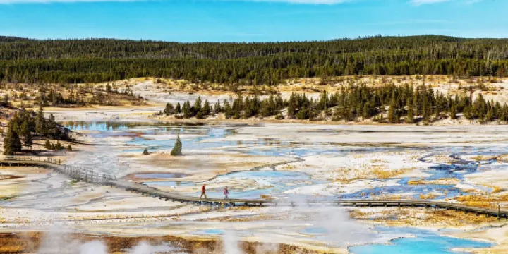 諾里斯間歇泉盆地