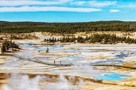 Norris Geyser Basin