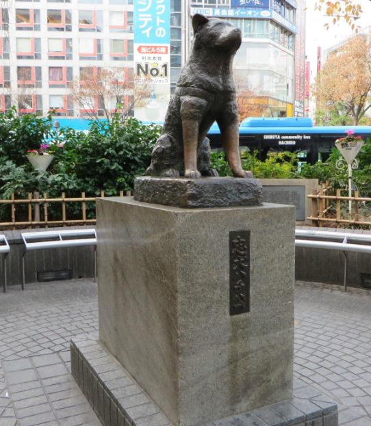 忠犬八公像景點 東京旅遊評論 旅行指南 Trip Com 忠犬八公像景點 東京旅遊評論 旅行指南 Trip Com