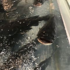 Gaojiazhuang (donggang) User Photo