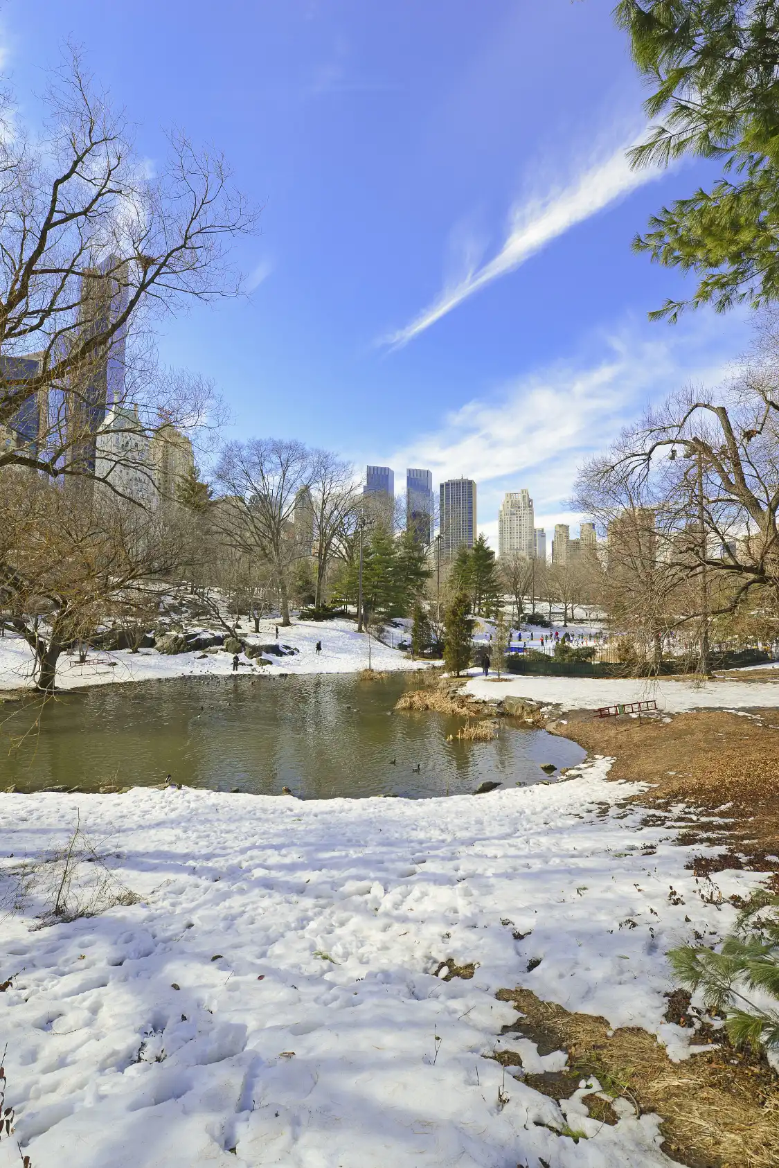 Hotels near Nanhu Ecology Park