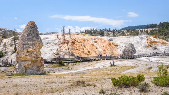 Mammoth Hot Springs