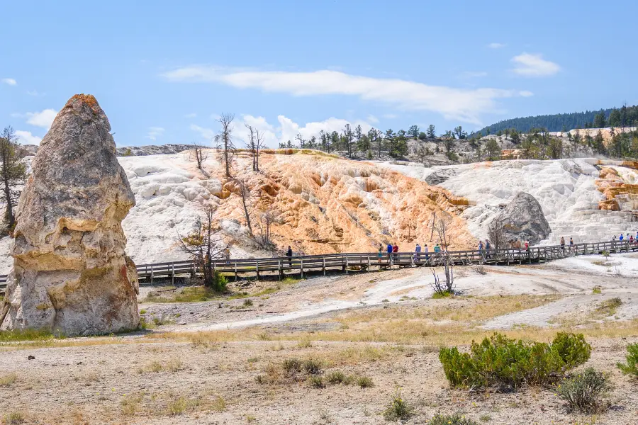 Mammoth Hot Springs