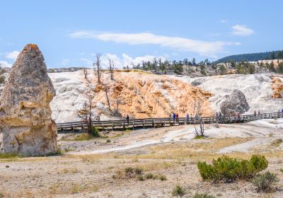 Mammoth Hot Springs