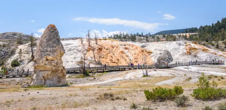 Hotels near Mammoth Hot Springs