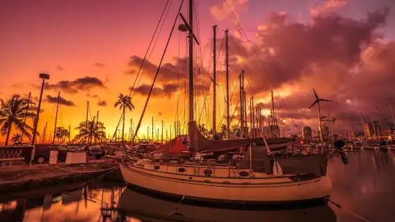 舊金山精品遊丨金門大橋+惡魔島+漁人碼頭+九曲花街+舊金山藝術宮