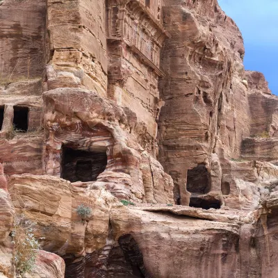 Разрешено размещения с домашними животными Отели в г. Петра