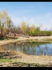 Xinlijiaoye Park