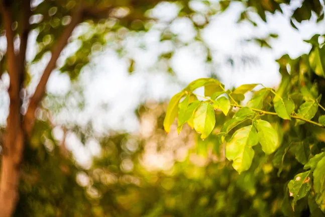 Отзывы об отеле Royal Inn Mito