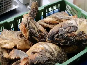北門砂鍋魚頭