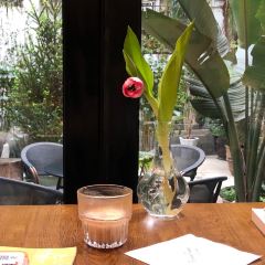 茉莉餐厅Morning Flowers User Photo