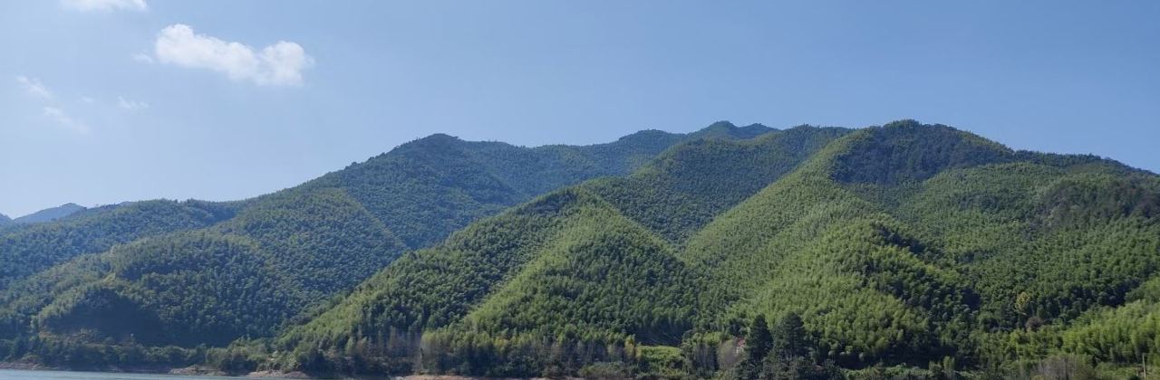 海胜茗苑