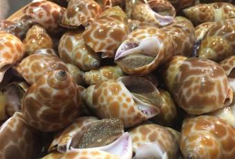 海儀美食樓（灣仔海鮮街店）用戶圖片