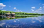 Fujin National Wetland Park