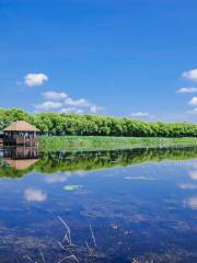 Fujin National Wetland Park