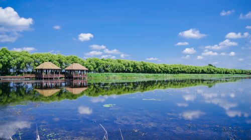 Fujin National Wetland Park