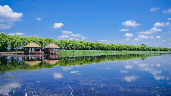 Fujin National Wetland Park