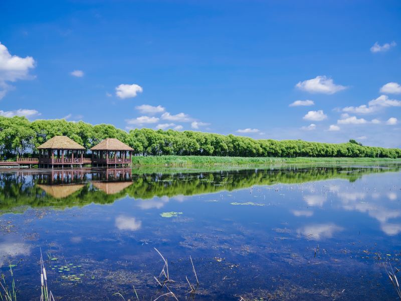 Fujin National Wetland Park