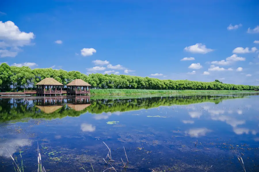 Fujin National Wetland Park