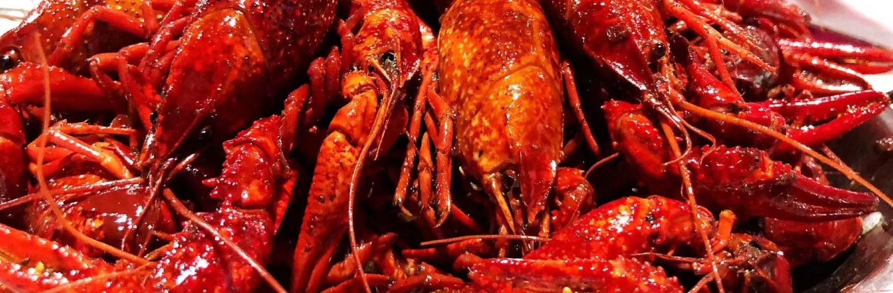 天竺园(儒林路店)