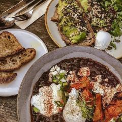 Father Carpenter張用戶圖片