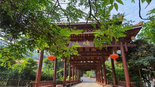 Paiyang Mountain Forest Park