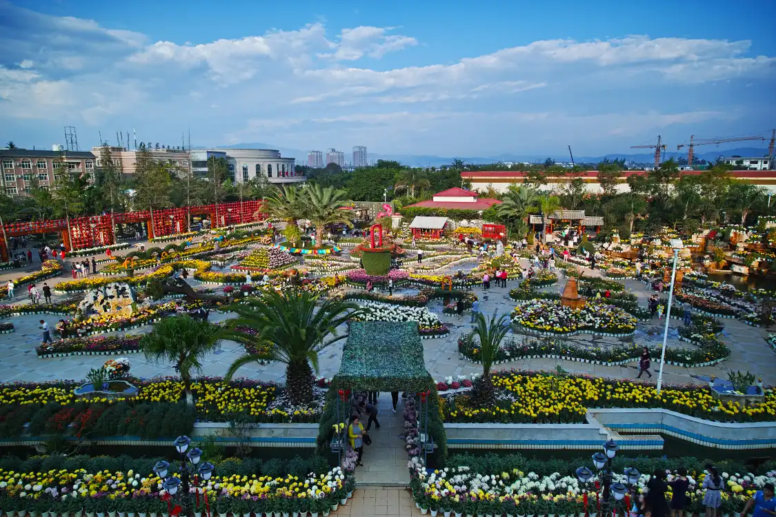 Hotels near Dayingjiezhen