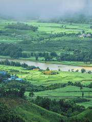 Yunnan Yingjiang Wetland Park