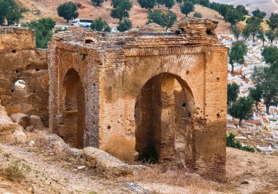 Marinid Tombs