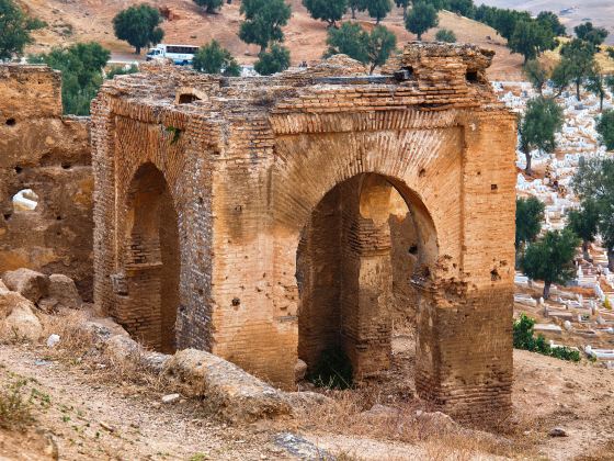 Marinid Tombs