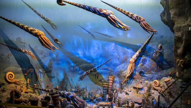 Zhejiang Museum of Natural History (Hangzhou Branch)